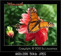 Click image for larger version. 

Name:	monarch.jpg 
Views:	255 
Size:	49.8 KB 
ID:	90507