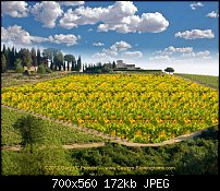 Click image for larger version. 

Name:	Tuscan Farmhouse.jpg 
Views:	799 
Size:	172.3 KB 
ID:	94085