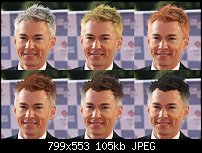 Click image for larger version. 

Name:	hair_colour.jpg 
Views:	120 
Size:	105.3 KB 
ID:	97016