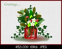 Click image for larger version. 

Name:	Christmas flowers.jpg 
Views:	75 
Size:	69.4 KB 
ID:	99916