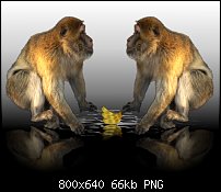 Click image for larger version. 

Name:	Two_Monkeys.jpg 
Views:	210 
Size:	66.0 KB 
ID:	65987