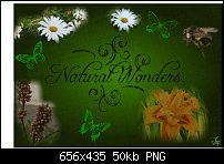 Click image for larger version. 

Name:	natural wonders.jpg 
Views:	160 
Size:	49.9 KB 
ID:	69009