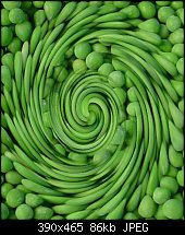 Click image for larger version. 

Name:	whirrledpeas.jpg 
Views:	94 
Size:	86.4 KB 
ID:	85699