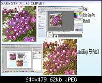 Click image for larger version. 

Name:	xara2pspxi.jpg 
Views:	633 
Size:	62.3 KB 
ID:	38877