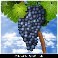 Click image for larger version. 

Name:	grapes again.jpg 
Views:	88 
Size:	50.4 KB 
ID:	85106