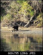 Click image for larger version. 

Name:	bear reflection.jpg 
Views:	155 
Size:	127.6 KB 
ID:	74282