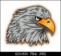 Click image for larger version. 

Name:	eagles-head.jpg 
Views:	224 
Size:	75.1 KB 
ID:	104280