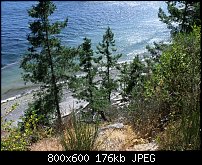 Click image for larger version. 

Name:	Gibsons Bluff 1.jpg 
Views:	192 
Size:	176.0 KB 
ID:	74286