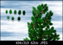Click image for larger version. 

Name:	PineTreeTop2.jpg 
Views:	299 
Size:	61.9 KB 
ID:	2277