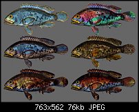 Click image for larger version. 

Name:	Fish.jpg 
Views:	148 
Size:	75.8 KB 
ID:	81737