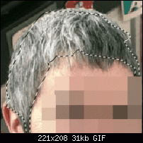 Click image for larger version. 

Name:	cantchangehaircolor.gif 
Views:	125 
Size:	30.6 KB 
ID:	97003