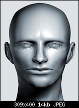 Click image for larger version. 

Name:	Head-wip.jpg 
Views:	189 
Size:	14.3 KB 
ID:	18798