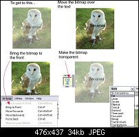 Click image for larger version. 

Name:	transp.jpg 
Views:	311 
Size:	33.7 KB 
ID:	21435