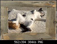 Click image for larger version. 

Name:	dos basking.png 
Views:	136 
Size:	383.6 KB 
ID:	61225
