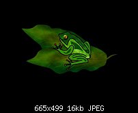 Click image for larger version. 

Name:	Froggy 1.JPG 
Views:	116 
Size:	15.6 KB 
ID:	72900