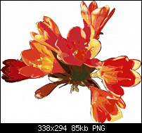 Click image for larger version. 

Name:	Orange_Flower.png 
Views:	315 
Size:	85.2 KB 
ID:	324