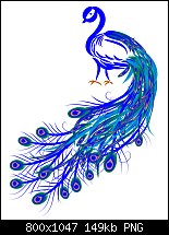 Click image for larger version. 

Name:	peacock.jpg 
Views:	232 
Size:	148.6 KB 
ID:	108630
