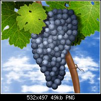 Click image for larger version. 

Name:	grapes.jpg 
Views:	107 
Size:	49.1 KB 
ID:	85069