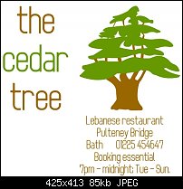 Click image for larger version. 

Name:	cedar tree.jpg 
Views:	3310 
Size:	85.4 KB 
ID:	46770