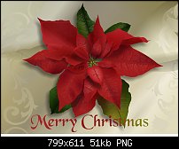Click image for larger version. 

Name:	poinsetta2009.jpg 
Views:	390 
Size:	51.5 KB 
ID:	68480