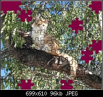 Click image for larger version. 

Name:	puzzle.jpg 
Views:	145 
Size:	95.9 KB 
ID:	69361