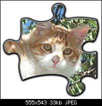 Click image for larger version. 

Name:	puzzle piece.jpg 
Views:	111 
Size:	32.7 KB 
ID:	69365