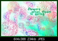 Click image for larger version. 

Name:	flowers.jpg 
Views:	120 
Size:	233.7 KB 
ID:	12954