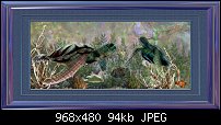 Click image for larger version. 

Name:	Two Turtles.jpg 
Views:	426 
Size:	93.9 KB 
ID:	39771