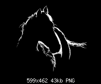 Click image for larger version. 

Name:	black & white horse.png 
Views:	445 
Size:	43.4 KB 
ID:	96465