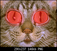 Click image for larger version. 

Name:	strange kitty.png 
Views:	553 
Size:	145.5 KB 
ID:	47209