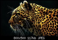 Click image for larger version. 

Name:	1305328168-leopard-fractal-wild-cat-wallpaper-wallpaper.jpg 
Views:	214 
Size:	117.2 KB 
ID:	91614