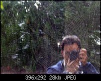 Click image for larger version. 

Name:	Spider Photographer-1-resized.jpg 
Views:	230 
Size:	28.0 KB 
ID:	21224