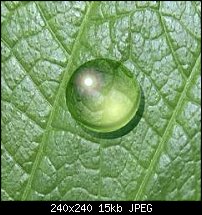 Click image for larger version. 

Name:	waterdrop.jpg 
Views:	453 
Size:	15.2 KB 
ID:	27802