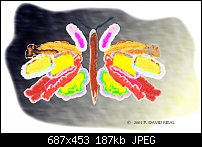 Click image for larger version. 

Name:	butterfly2.jpg 
Views:	208 
Size:	187.1 KB 
ID:	19536