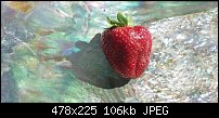 Click image for larger version. 

Name:	strawberry.jpg 
Views:	208 
Size:	106.0 KB 
ID:	2126
