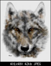 Click image for larger version. 

Name:	wolf2.jpg 
Views:	505 
Size:	42.0 KB 
ID:	11934