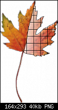 Click image for larger version. 

Name:	leaf logo 1.png 
Views:	262 
Size:	40.3 KB 
ID:	56383