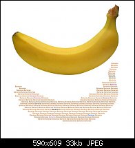 Click image for larger version. 

Name:	banana.jpg 
Views:	272 
Size:	32.8 KB 
ID:	88001
