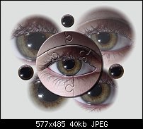 Click image for larger version. 

Name:	Eye_puzzle.jpg 
Views:	255 
Size:	39.7 KB 
ID:	13184