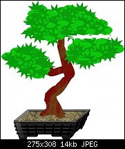 Click image for larger version. 

Name:	bonsai.jpg 
Views:	290 
Size:	14.4 KB 
ID:	2654