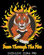 Click image for larger version. 

Name:	FIRE TIGER FINISH DA PNG.jpg 
Views:	73 
Size:	218.8 KB 
ID:	131668
