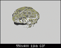Click image for larger version. 

Name:	frog.gif 
Views:	547 
Size:	11.0 KB 
ID:	3659