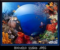 Click image for larger version. 

Name:	3d water.jpg 
Views:	155 
Size:	115.6 KB 
ID:	72689