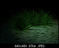 Click image for larger version. 

Name:	night-swamp.jpg 
Views:	279 
Size:	67.0 KB 
ID:	2221