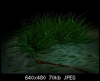 Click image for larger version. 

Name:	NightSwamp2.jpg 
Views:	189 
Size:	70.3 KB 
ID:	9218