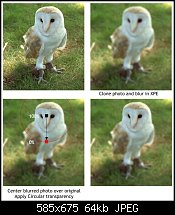 Click image for larger version. 

Name:	blurred-owl.jpg 
Views:	174 
Size:	63.7 KB 
ID:	24311