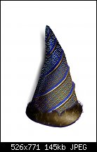 Click image for larger version. 

Name:	wizard's hat.jpg 
Views:	480 
Size:	144.8 KB 
ID:	22998