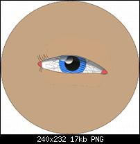 Click image for larger version. 

Name:	eye-so-far2.png 
Views:	700 
Size:	16.7 KB 
ID:	44051
