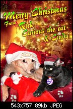 Click image for larger version. 

Name:	xmas card 2009.jpg 
Views:	187 
Size:	88.6 KB 
ID:	68720