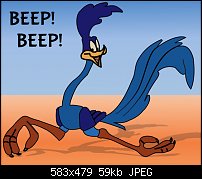 Click image for larger version. 

Name:	Roadrunner 2.jpg 
Views:	104 
Size:	59.3 KB 
ID:	114776